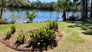 A lakeside view with a grassy area, some plants, and trees. - The Robin House, Newly Furnished Lake Retreat Near Tybee Island & Savannah (Wilmington Island)