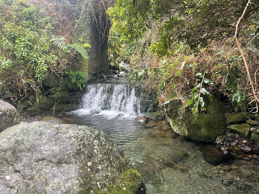 Ein natürlicher Wasserfall inmitten eines bewaldeten Gebietes mit großen Felsen und dichtem Grün.