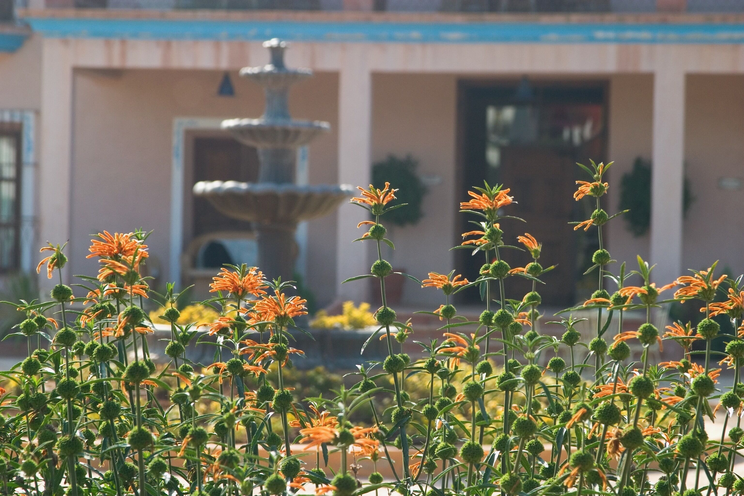 Photo - Hotel Restaurante Font Salada