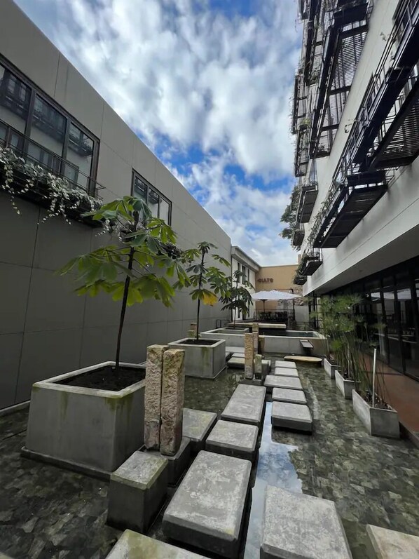 露台/庭院