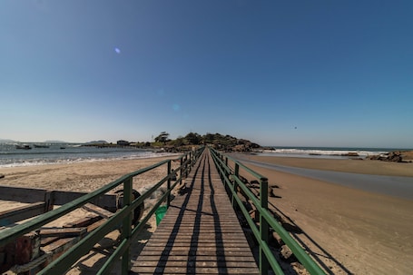 靠近海滩、白沙