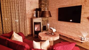 TV connectée, cheminée, lecteur de DVD, livres