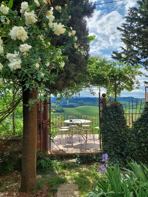 Outdoor dining - Authentic Tuscan country house, dating back to around the year 1000 (Castelfiorentino)