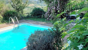 Una piscina con escalera metálica, rodeada de exuberante follaje y plantas en flor.