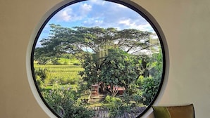 Una ventana redonda con vistas a un jardín exuberante y una estructura de madera.