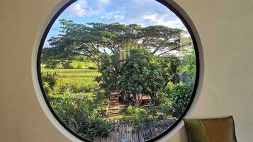 Deluxe Room | View from room