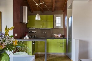 Fridge, oven, stovetop, dishwasher