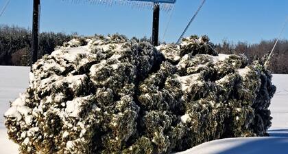 Lovely 2 Br, Outdoorsman Haven Atv/Sled Access