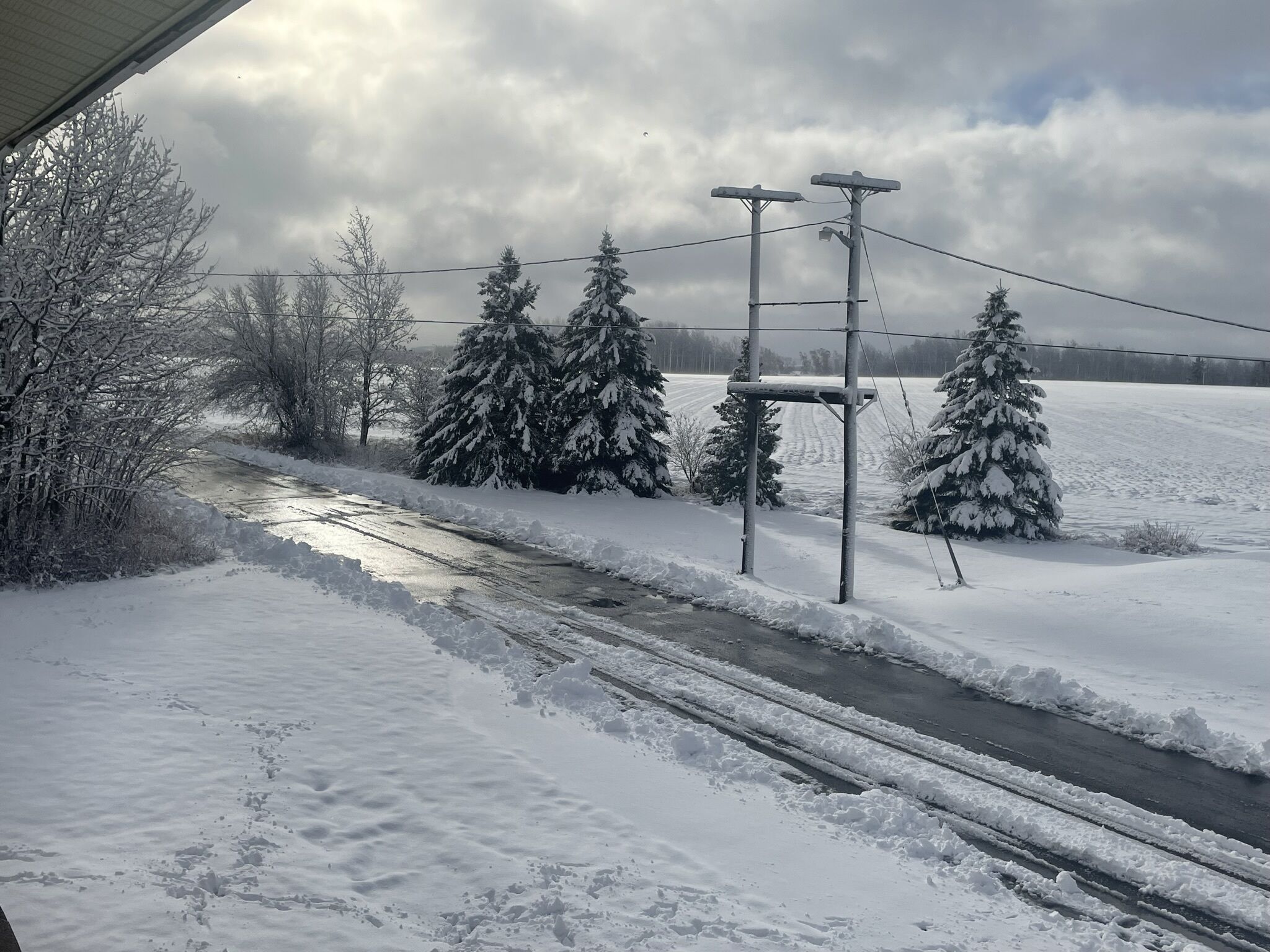 A snowy landscape with a road, trees, and utility poles.
