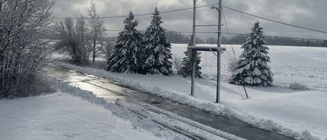 A snowy landscape with a road, trees, and utility poles.