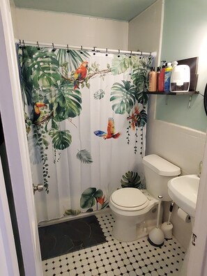 Secador de cabelo, toalhas de banho, sabonete, shampoo