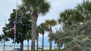 A park with palm trees, a flag, and a view of the water.