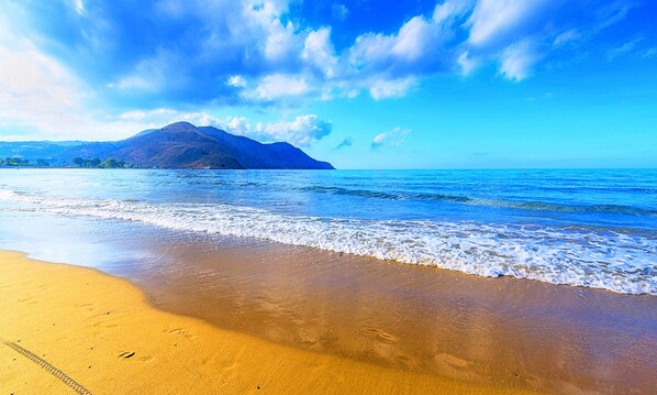 På stranden och 12 strandbarer