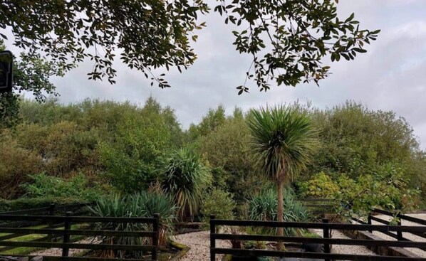 Property grounds - Stunning apartment set in private native woodland (Ramelton)