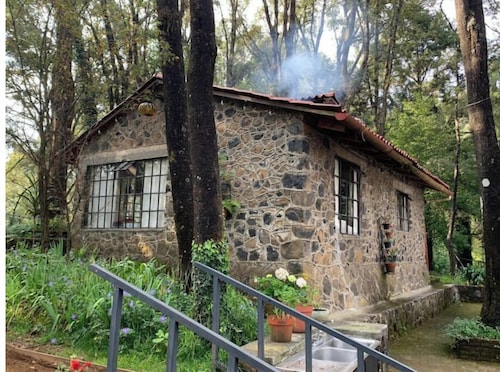 Beautiful cabin in the woods