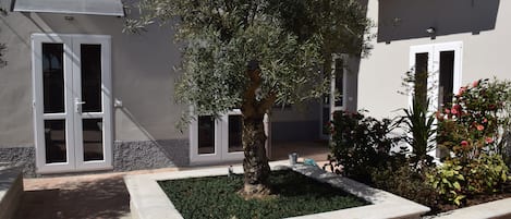 Habitación básica | Terraza o patio