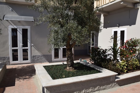 Basic Room | Terrace/patio