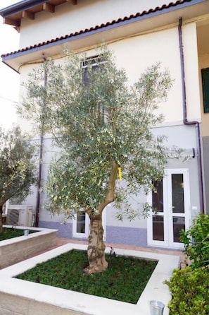 Exterior - AB&B LEONARDO (Rho)