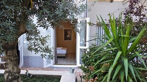 Un espacio al aire libre con un árbol, una planta en maceta y la entrada de un edificio.