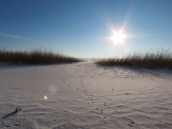 A sandy beach with footprints leading towards the sun.