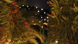 A nighttime view of a staircase surrounded by lush greenery and illuminated by warm lights.