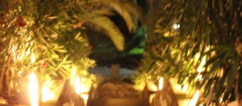 Le Lavandou-Aiguebelle-sea view-heated pool-beach 300m-garage-air conditioning