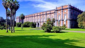 Vistas al jardín