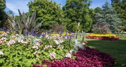 2 Bed Apartment - Boscawen Woods - Panoramic Views