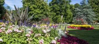 2 Bed Apartment - Boscawen Woods - Panoramic Views