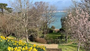 A garden with daffodils, a grassy area, and trees. - 2 Bed Apartment The Priory - Panoramic Sea View (Shanklin)