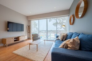 TV, DVD player, books, stereo