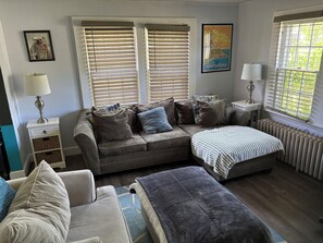 Smart TV, fireplace, DVD player, books