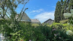 Ein Garten mit verschiedenen Pflanzen und Blumen, einem weißen Zaun und Häusern im Hintergrund.