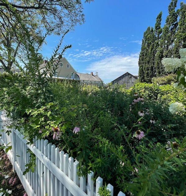 Um jardim com diversas plantas e flores, um cercado branco de piquete, e casas ao fundo.