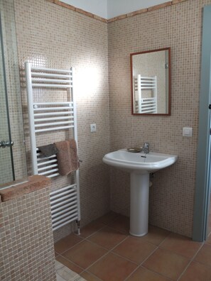 Shower, bidet, towels, soap
