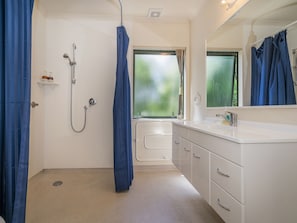Shower, hair dryer