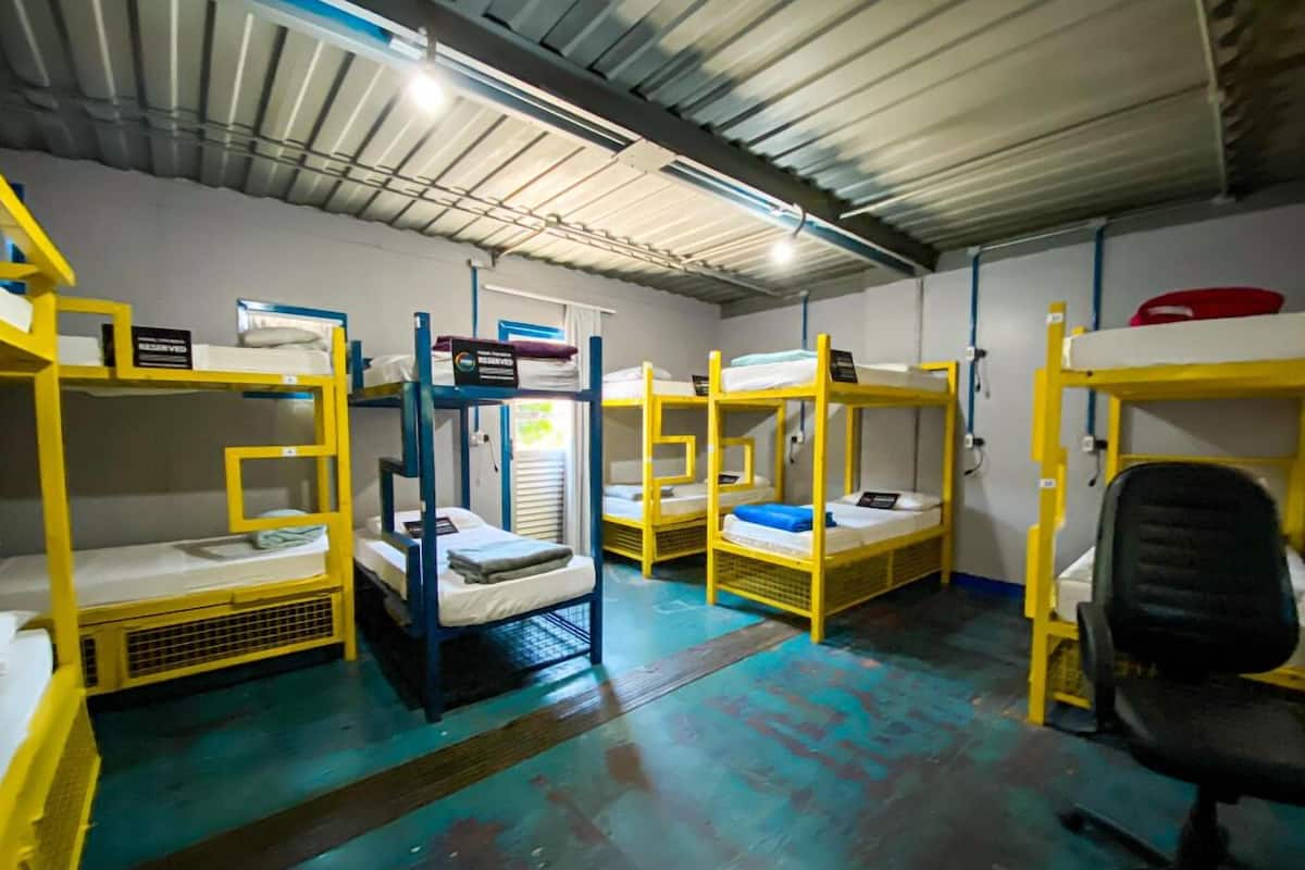 A dormitory room with bunk beds, a desk, and a chair.