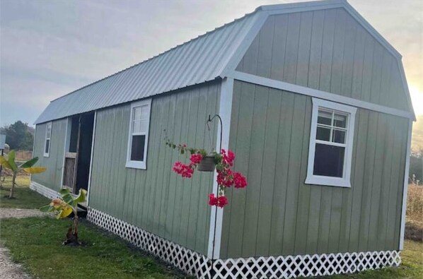 A single-story, green metal shed with a white trim, a small door, and a window.