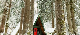 Bobo's Bungalow at Mt. Rainier