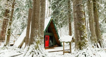 Bobo's Bungalow at Mt. Rainier