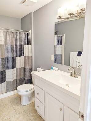 Bathtub, hair dryer - Tanner Bldg Apt 7 - 2 bedroom 1 king & 1 queen (Downtown) (Bay City)