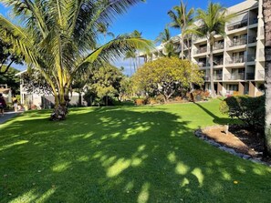Property grounds - ❤️KIHEI AKAHI PAN OCEAN VIEW⭐️RENOVATED-DUAL AC🐳OWNER MGMT⭐ (Kihei)