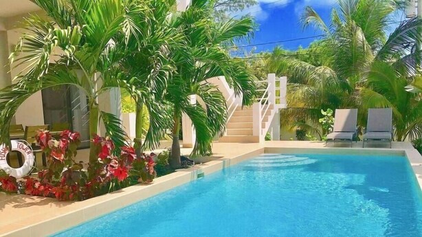 A swimming pool with a clear blue water, surrounded by palm trees and a white lifebuoy. - Seremei Villas (Caye Caulker)