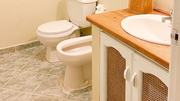 Shower, hair dryer, slippers, bidet