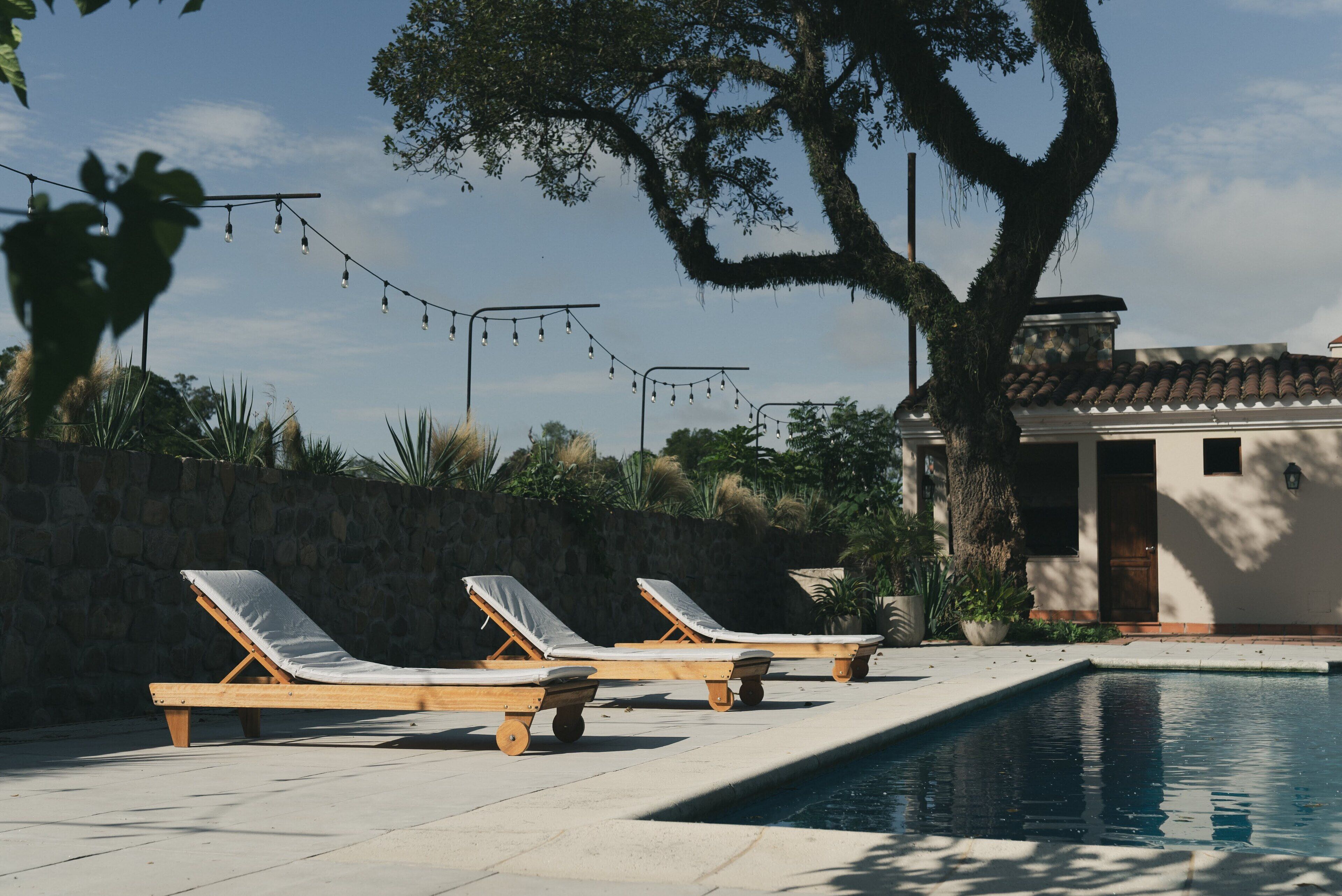 Outdoor pool, sun loungers