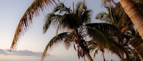 Privatstrand, weißer Sandstrand, Liegestühle, Sonnenschirme