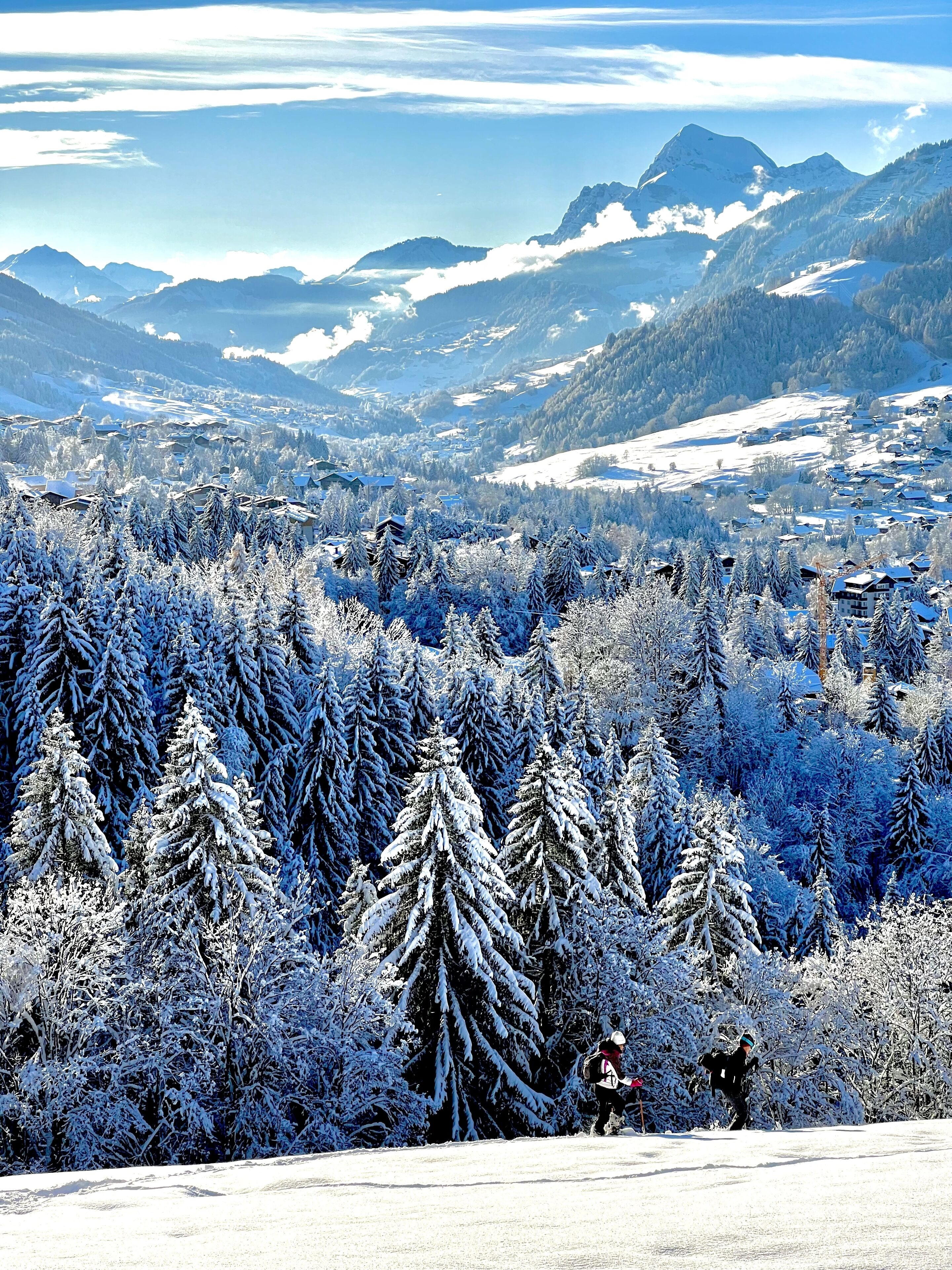 Un paysage montagneux enneigé avec un village situé dans la vallée.