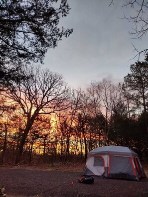 Dining - RV w/Lake Access - 4 acre Private Retreat (Murchison)