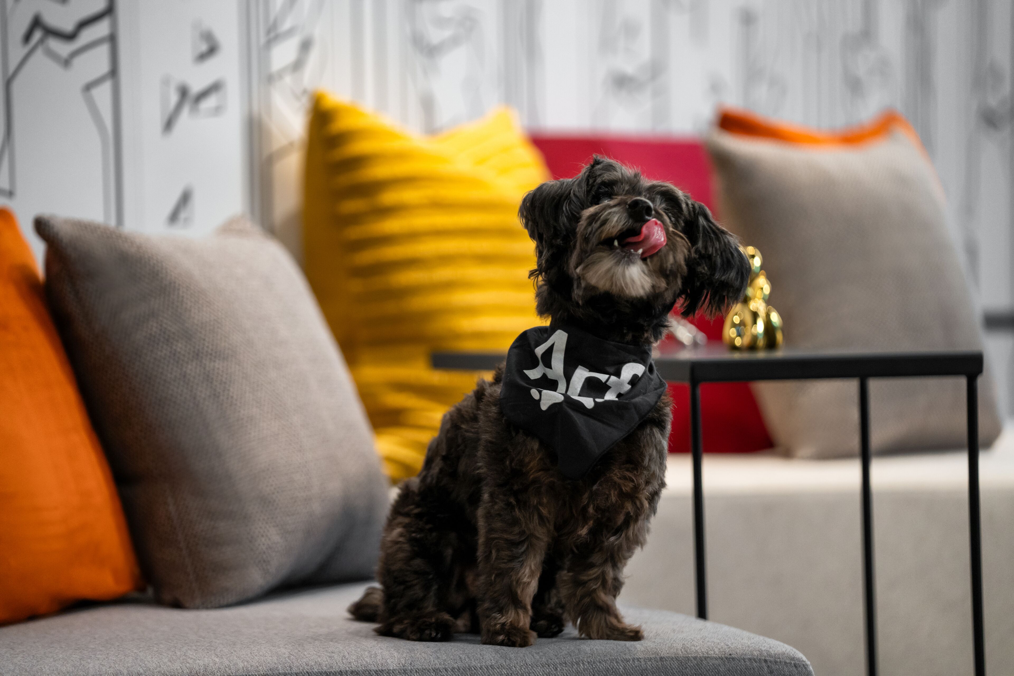 Foto - Aloft New York Chelsea