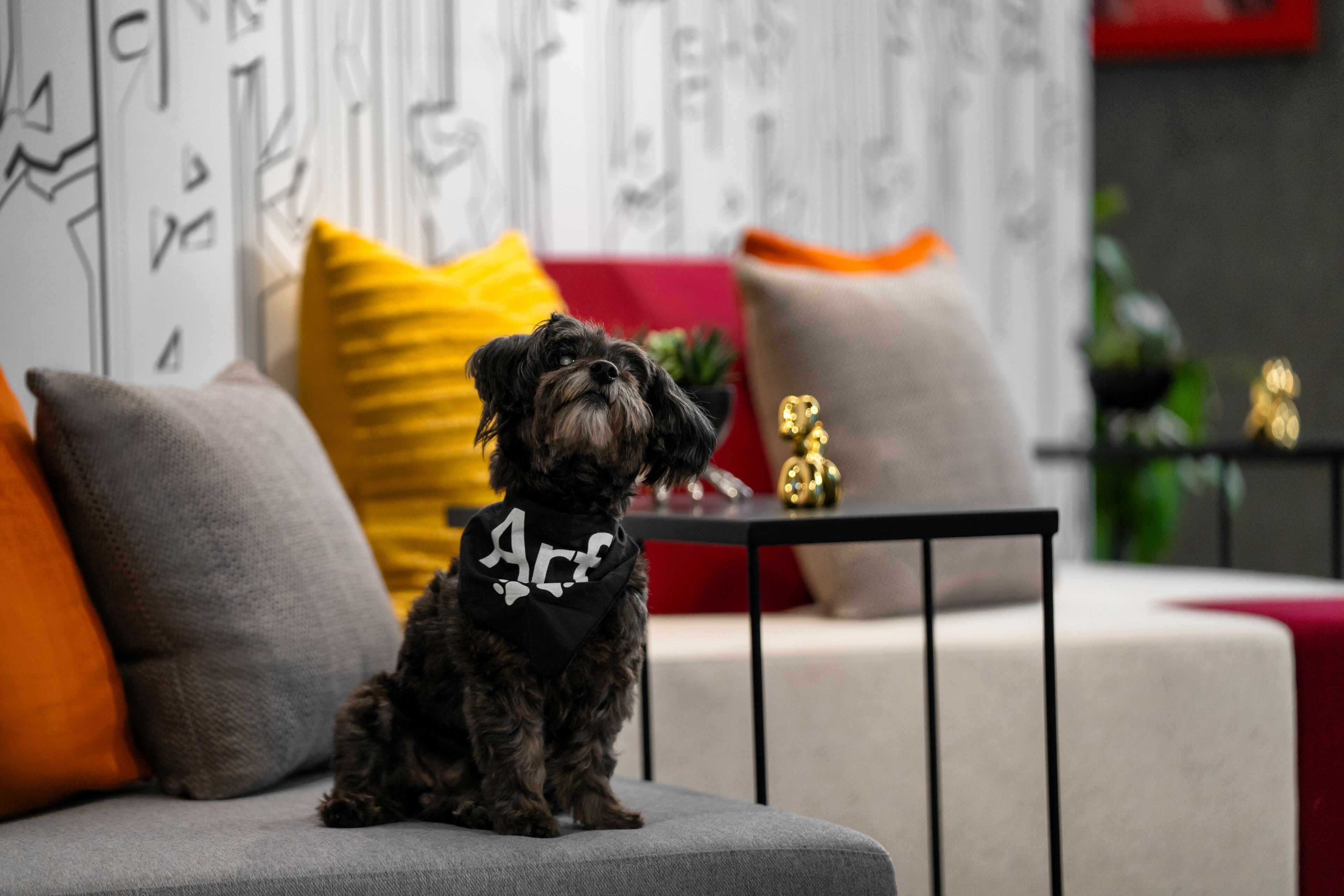 Foto - Aloft New York Chelsea